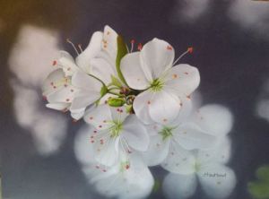 Voir le détail de cette oeuvre: Fleurs de cerisier